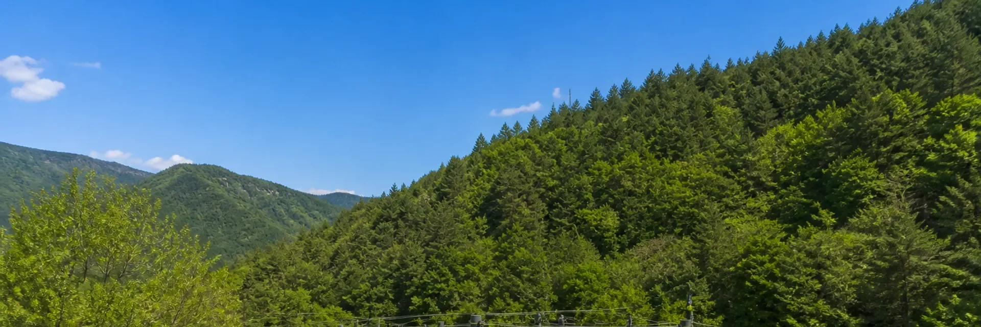拓展训练项目有哪些类型